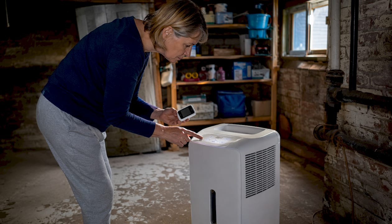How dehumidifiers prevent structural damage at home