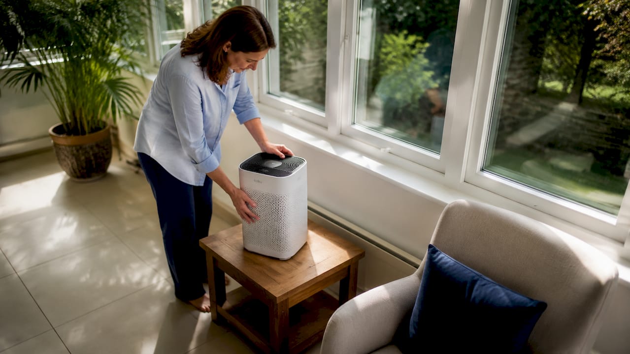 Person setting air purifier beside sofa